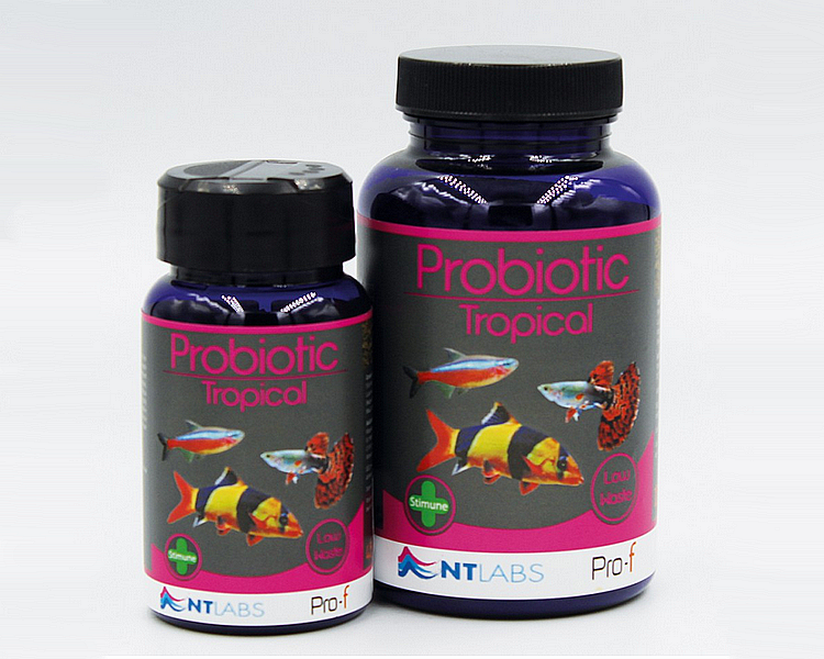 NT Labs Pro-f Discus Probiotic Tropical Pellet - 45g